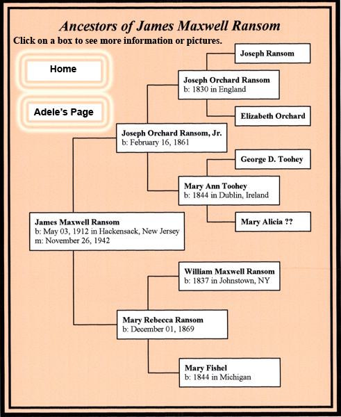 JMR Tree